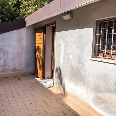 S267 - - Porzione Di Singola Immersa Nel Del Monte Conero *