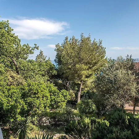 S267 - - Porzione Di Singola Immersa Nel Del Monte Conero