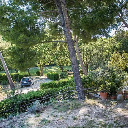 S267 - - Porzione Di Singola Immersa Nel Del Monte Conero