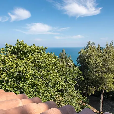 S267 - - Porzione Di Singola Immersa Nel Del Monte Conero Apartamento